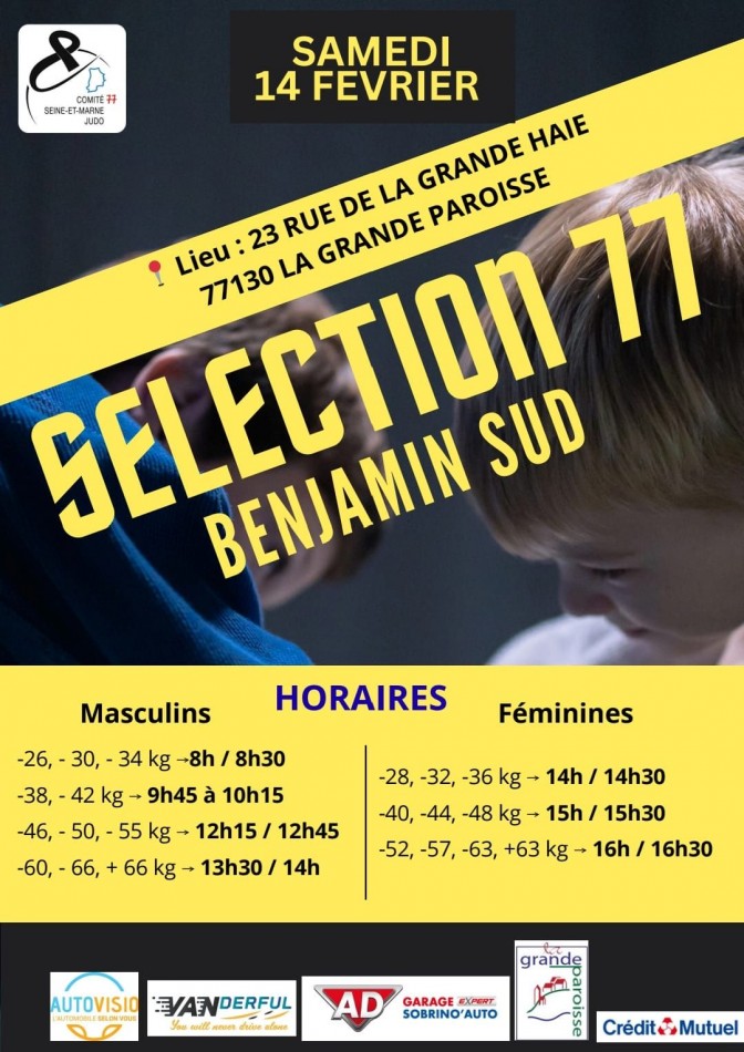 Image de l'actu 'Sélection 77 Benjamin Sud 14/02/2026 à La Grande Paroisse (77)'
